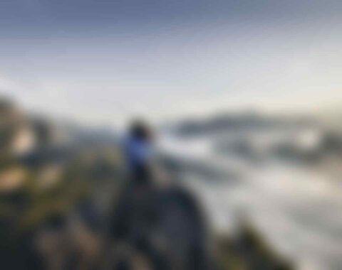 masterstudy_placeholder